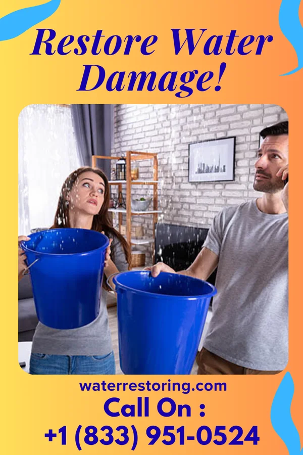 water restoration Modern Cleanup Sycamore