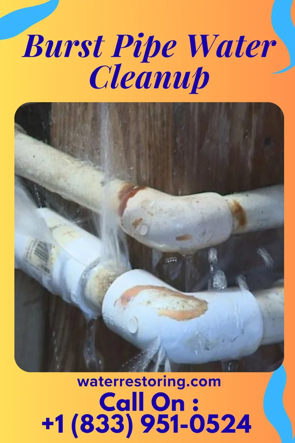 Burst Pipe Water Cleanup in Sycamore, OH