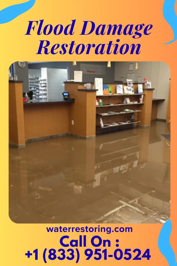 Flood Damage Restoration in Sycamore, OH