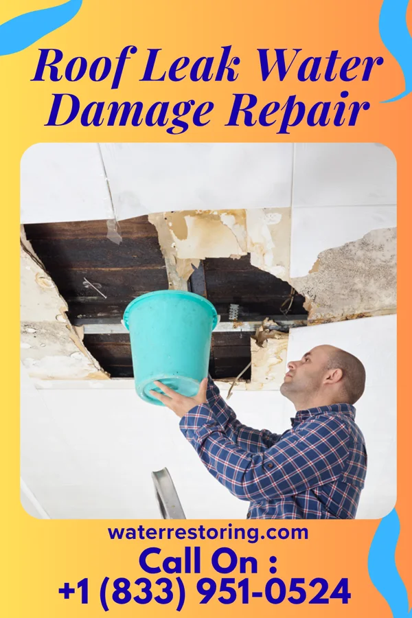 Roof Leak Water Damage Repair in Sycamore, OH