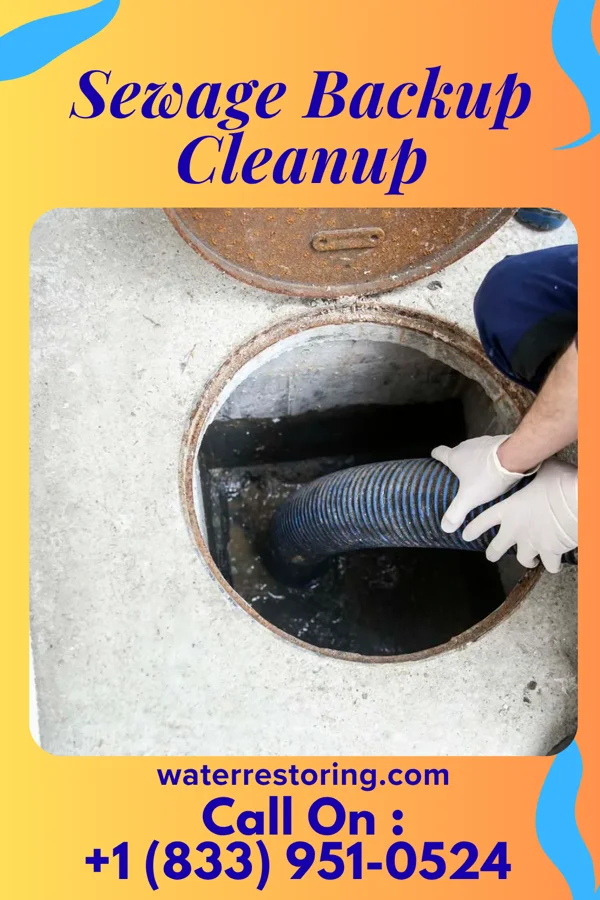 Sewage Backup Cleanup in Sycamore, OH