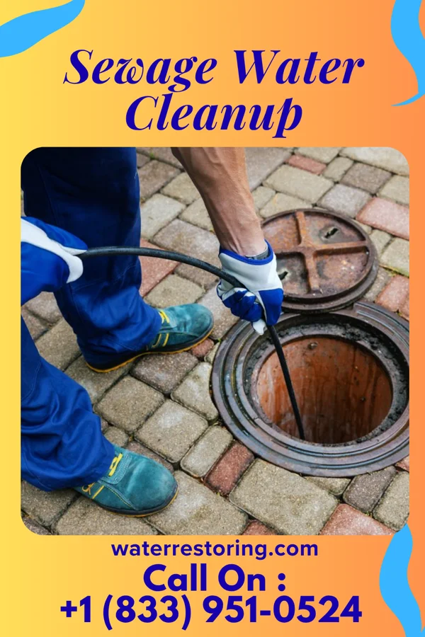 Sewage Water Cleanup in Sycamore, OH