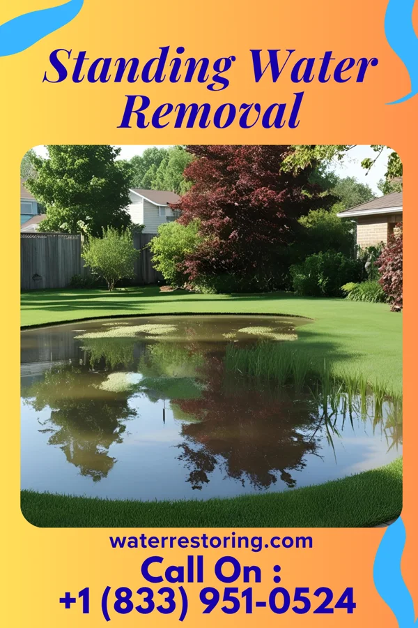 Standing Water Removal in Sycamore, OH